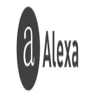 Partner 4