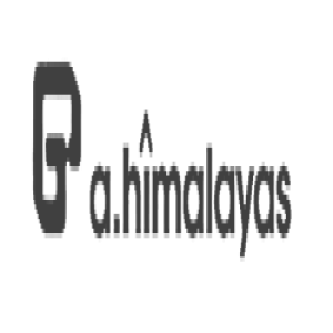 Partner 7